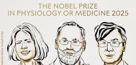 Trio shares Nobel Prize in medicine for findings in immune system