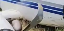 Private jet skids off runway during take-off in UP, none hurt