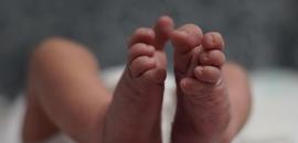 Indore hospital under fire as rats bite, kill two newborns