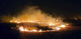 Stubble burning: Why can't some farmers be arrested, asks SC