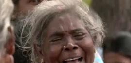 TVK moves HC seeking CBI probe into Karur stampede deaths