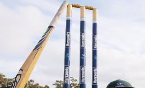 Umpire Dies After Bee Swarm Attack At Unnao Match