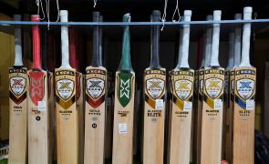 Rising cost of English willow prompts MCC to change law