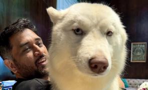 IPL: BCCI ethics officer dismisses conflict of interest allegations against MS Dhoni