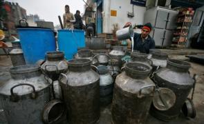 FTA: No duty cut by India on dairy, rice, wheat, pulses