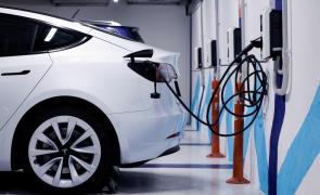 Electric vehicle retail sales zoom in Jan