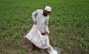 Govt's fertiliser subsidy bill may rise by Rs 70K cr in FY27