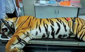 1 am News Flash – December 3, 2025