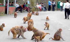 1 am News Flash – November 26, 2025