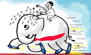 Equity mutual funds inflows rise 21% to Rs 29,911 crore in Nov