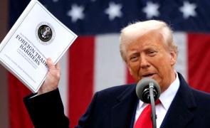 Tariff issues with US likely to be sorted out in 8-10 weeks: CEA
