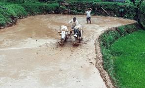 Odisha tribal couple forced to plough field for 'sinful' marriage