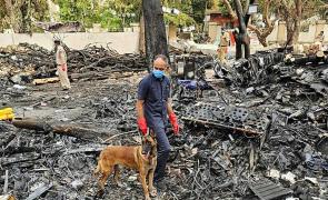 Bias toward pilot error: Pilots' association on AI crash report