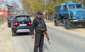 10 am News Flash – November 12, 2025