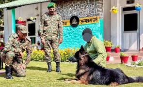 Indian Army Hero Tyson Is Recovering Well