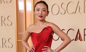 Desi Designers Who Took Over Oscars 2026