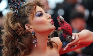 Like Urvashi's Parrot Clutch?