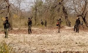 4 Maoists killed in police encounter in Jharkhand