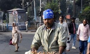 Chicken is treated as animal under law, Guj tells HC