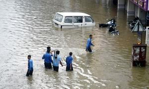 Monsoon Will Be 'Above-Normal' This Year