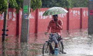June rains 11% below normal, highest deficit in 5 yrs
