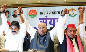 'Cong will win Amethi and Raebareli; INDIA to get...'