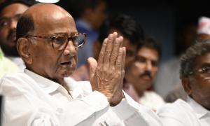 'Need to stop somewhere': Pawar's big retirement hint