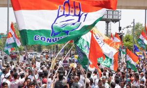 No friendly fight in MVA, Cong suspends all rebels