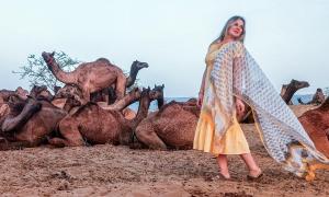 How About A Selfie With Camels?