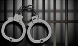 9 Kashmiris held with rifles, fake licences in Maha