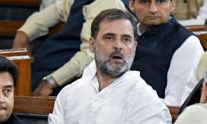 Rahul Gandhi's citizenship: HC seeks Centre's reply