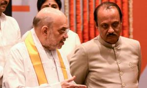 Amid tussle in Mahayuti, Ajit Pawar meets Shah 