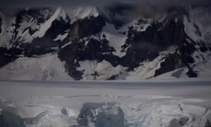 Antarctica turning green 'dramatically', says study  