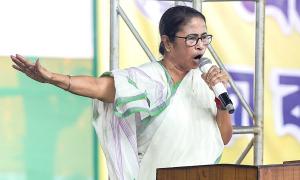 Suffered patiently: TMC MP quits RS over Kolkata horror