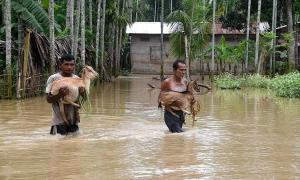 Rain fury wreaks havoc in Northeast; lakhs hit, toll at 30