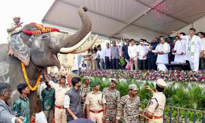 Why Is Karnataka Sending Elephants To AP?