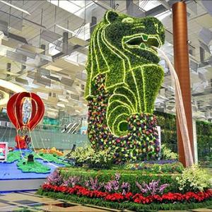 Changi Airport's Terminal 1 gets a stunning makeover - Rediff.com