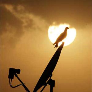 DoT to bar 3G spectrum holders from sharing airwaves