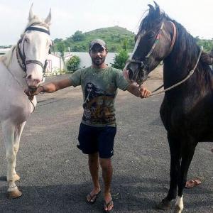 When horse riding and an old friendship helped Jadeja in tough times