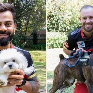 PIX: IPL stars celebrate International Dog Day