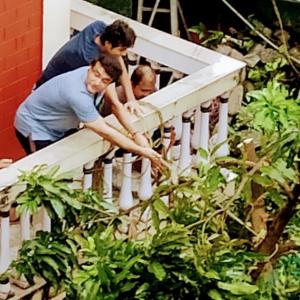 PIX: Ganguly fixes tree damaged by cyclone Amphan