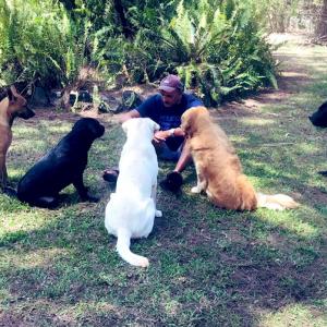 Shastri's 'social distancing' with dogs goes viral