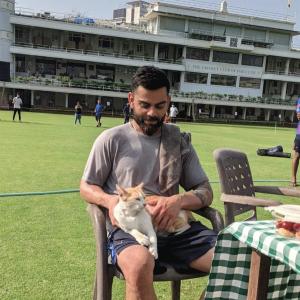 PICS: Kohli meets a cool cat during net practice