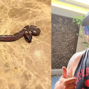 SEE: Snake in Mitchell Johnson's Room!