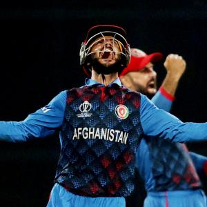 'Afghanistan were simply brilliant'