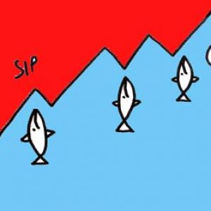 The most important lesson for SIP investors