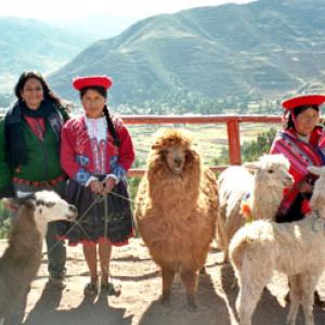 Travel: Indian in the Andes