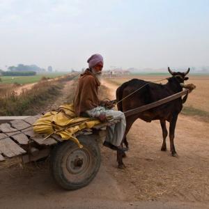 1406 km through Punjab: In the city of the magician