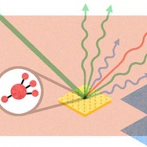 CV Raman: Google doodles for India's superstar physicist