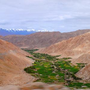 To the mystical highlands in Ladakh
